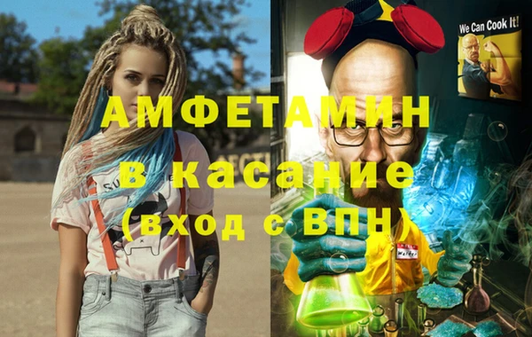 сатива Зерноград