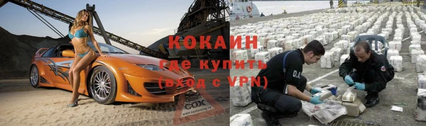 сатива Зерноград