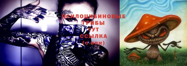сатива Зерноград