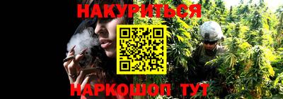 мяу мяу мука Комсомольск-на-Амуре